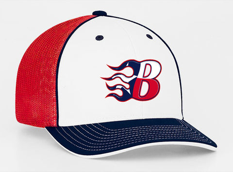 Blaze 3 color Texas Logo hat